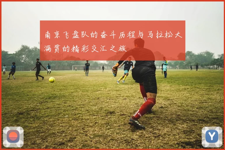 南京飞盘队的奋斗历程与马拉松大满贯的精彩交汇之旅