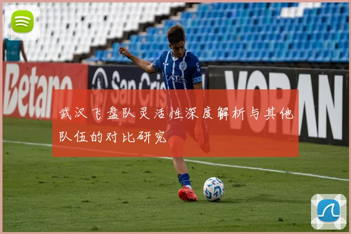 武汉飞盘队灵活性深度解析与其他队伍的对比研究