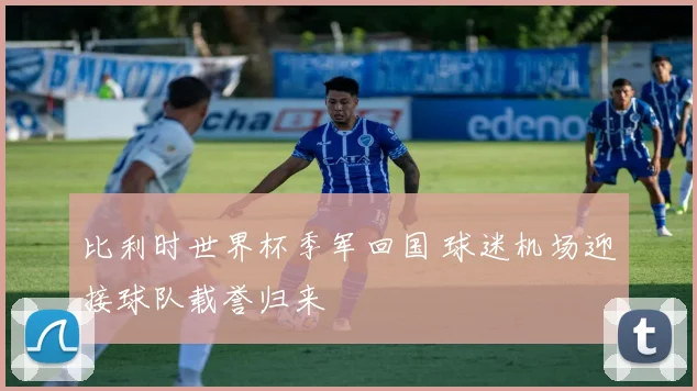 比利时世界杯季军回国 球迷机场迎接球队载誉归来
